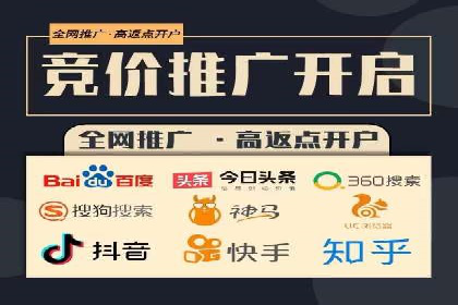 谷歌SEM案例研究：数据分析与效果评估